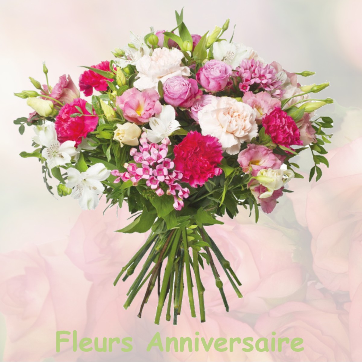 fleurs anniversaire GIEN-SUR-CURE